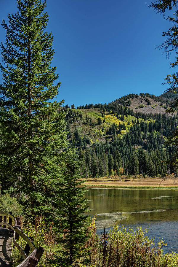 Silver Lake Photograph by Scott Roberts - Fine Art America