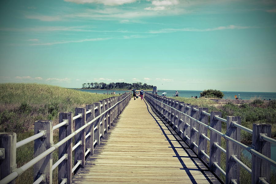 are dogs allowed at silver sands state park ct