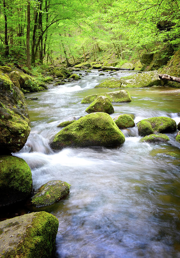 Smoky Mountain Stream Photograph By Robert A Clayton