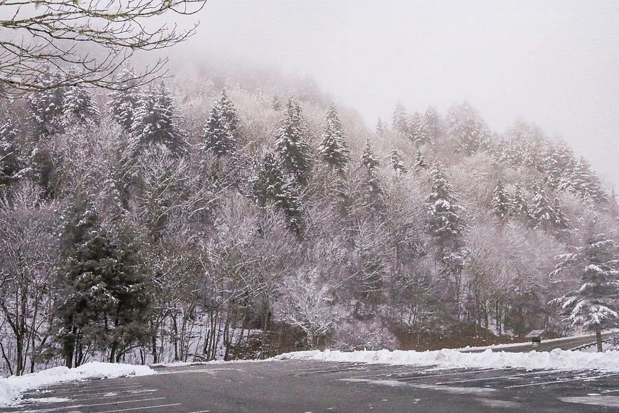 Snow in the Smokies Photograph by Melissa Traub - Fine Art America