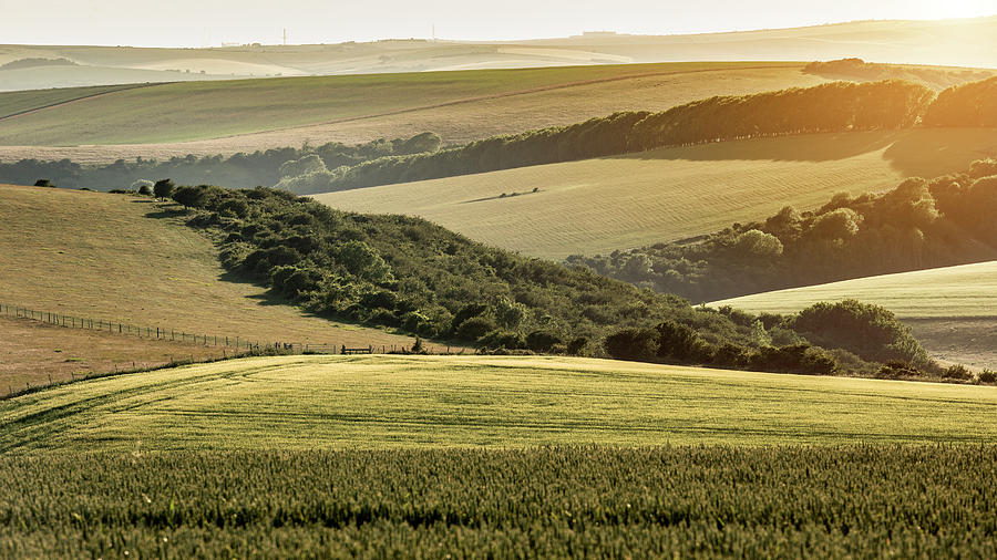 Stunning Late Summer Afternoon Light Over Rolling Hills In Engli Photograph