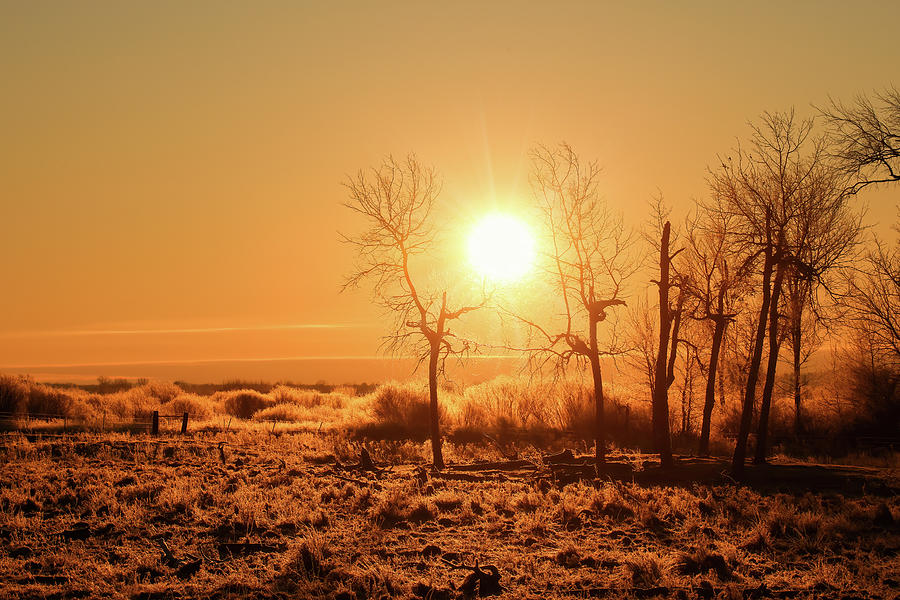 Sun #7 Photograph by Brook Burling