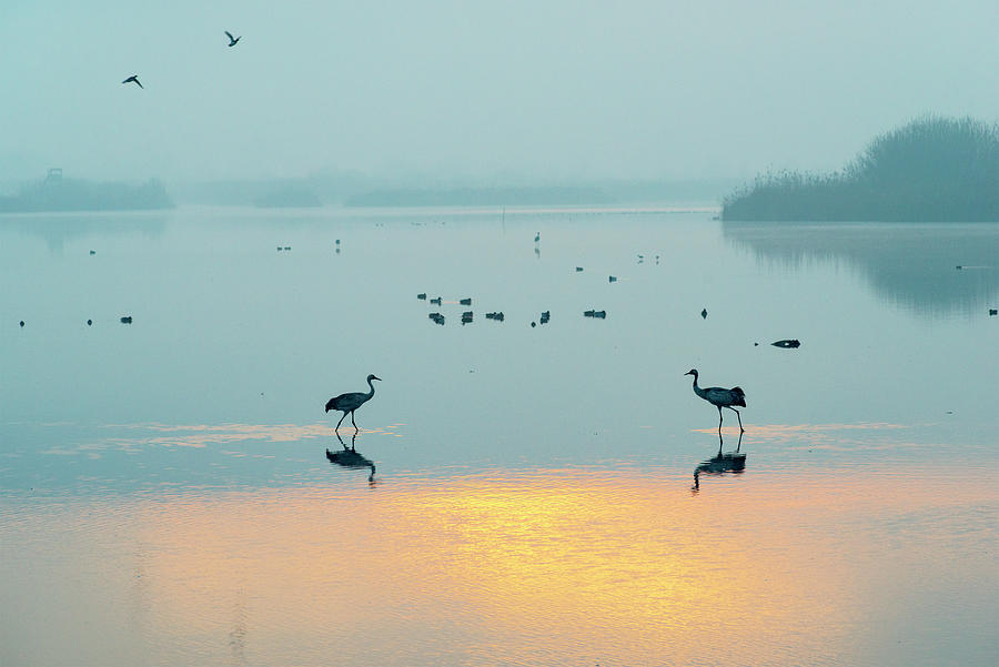 Sunrise over the Hula valley 9 Photograph by Dubi Roman