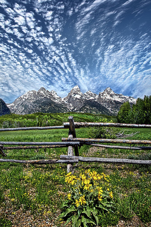 The Grand Tetons #8 Photograph by Phil Koch