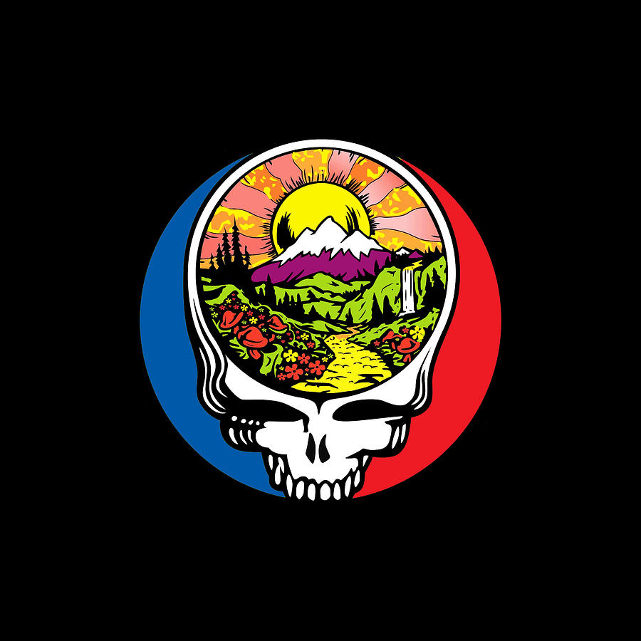 The Grateful Dead Best Legend Of American rock band Est 1965 T-Shirt by  Samuel KeanuP - Pixels