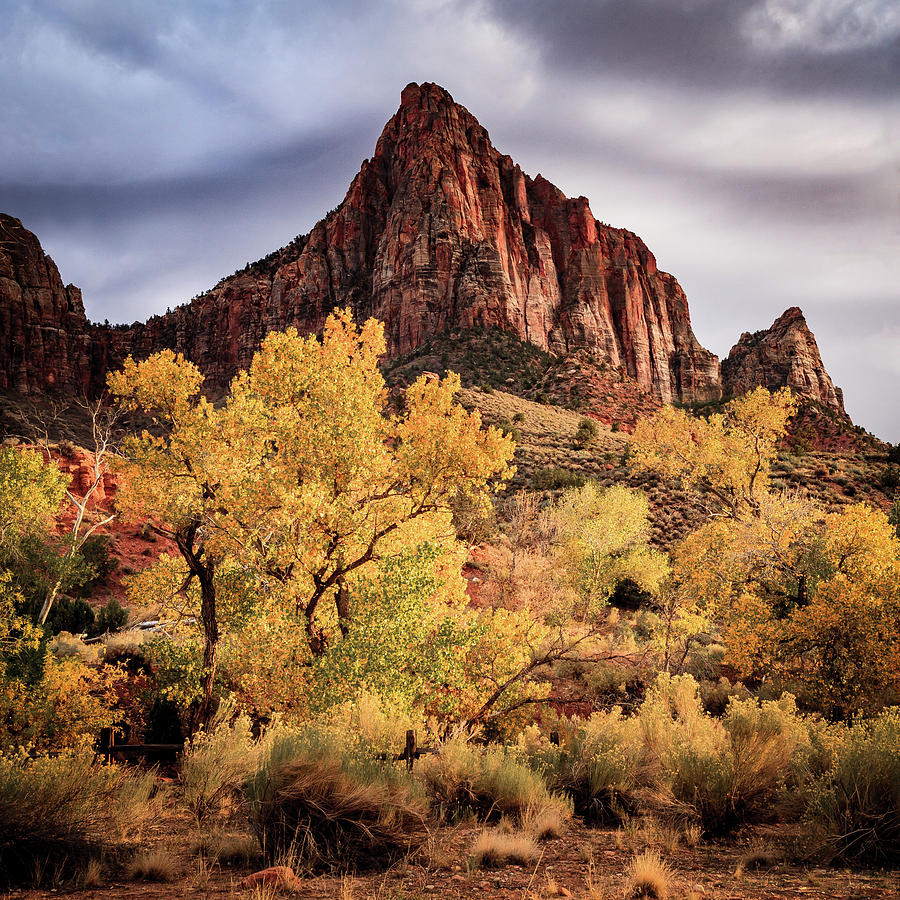 Zion National Park Photograph - The Watchman, Zion National Park #7 by Peter OReilly