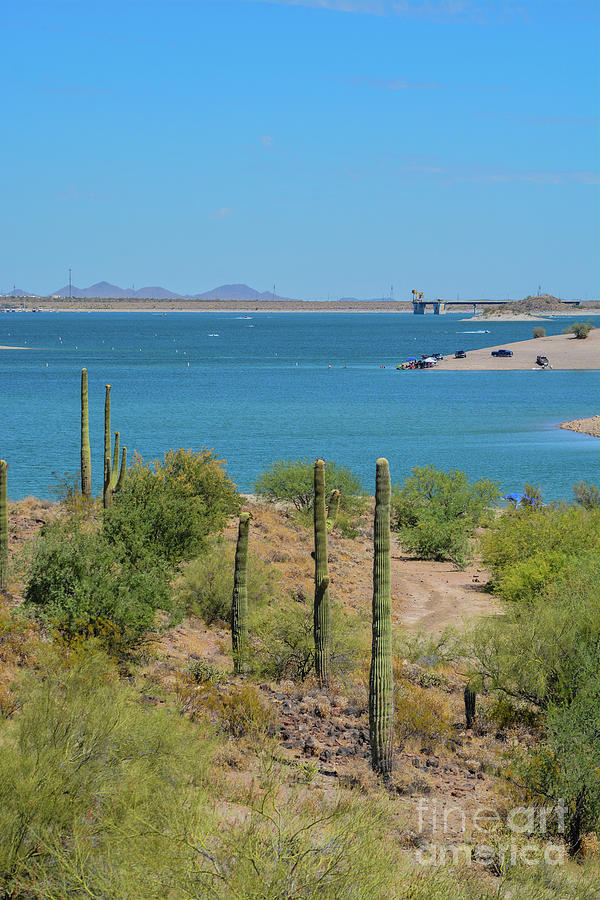 Lake Pleasant Regional Park Az