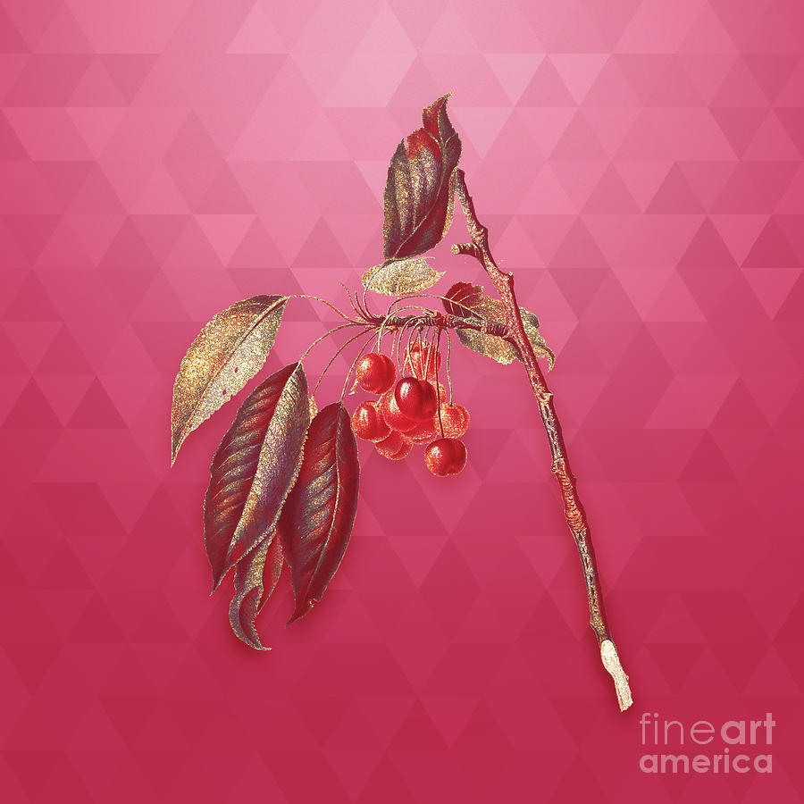 Vintage Cherry in Gold on Viva Magenta #7 Mixed Media by Holy Rock Design