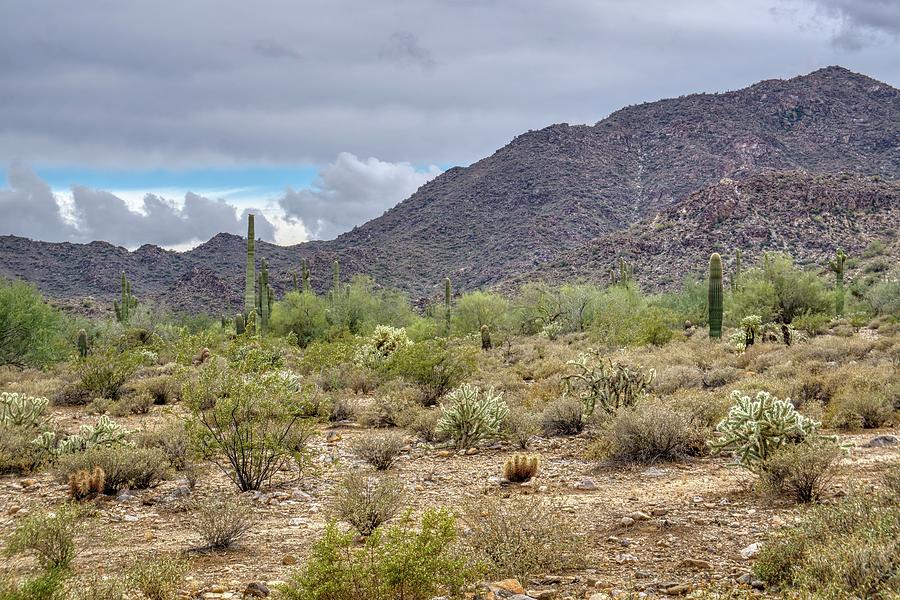White Tank Mountain Scenes Near Phoenix Arizona #7 Photograph by Kenneth Roberts