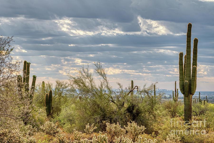 White Tank Mountain State Park Near Phoenix Arizona #7 Photograph by Kenneth Roberts
