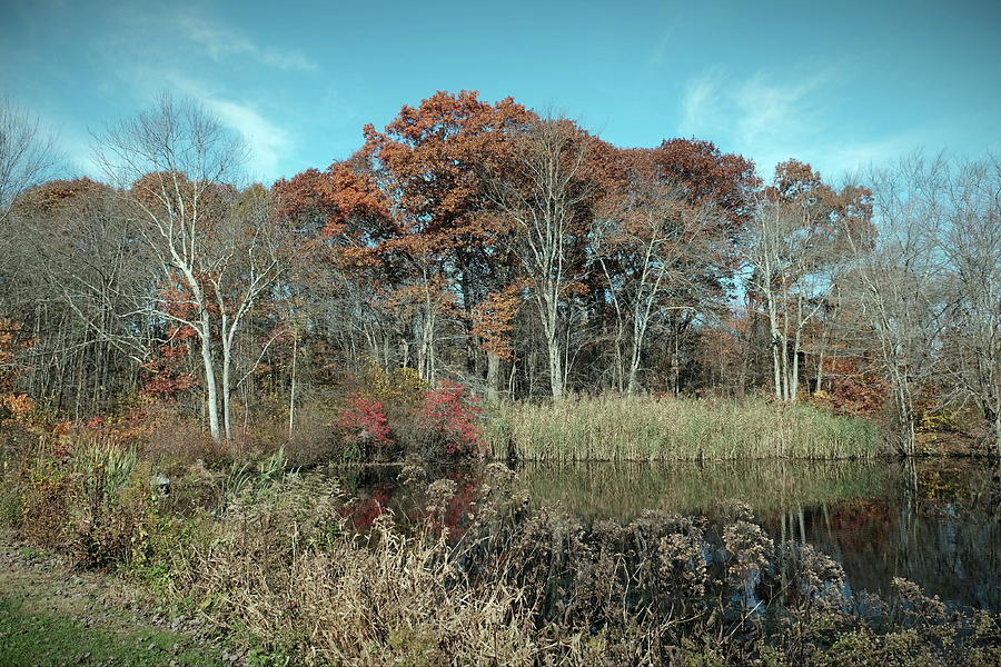 Wigwam Pond, Stratford CT #7 Photograph by Thomas Henthorn - Pixels