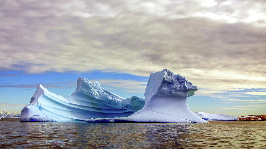 Antarctica #70 Photograph by Paul James Bannerman