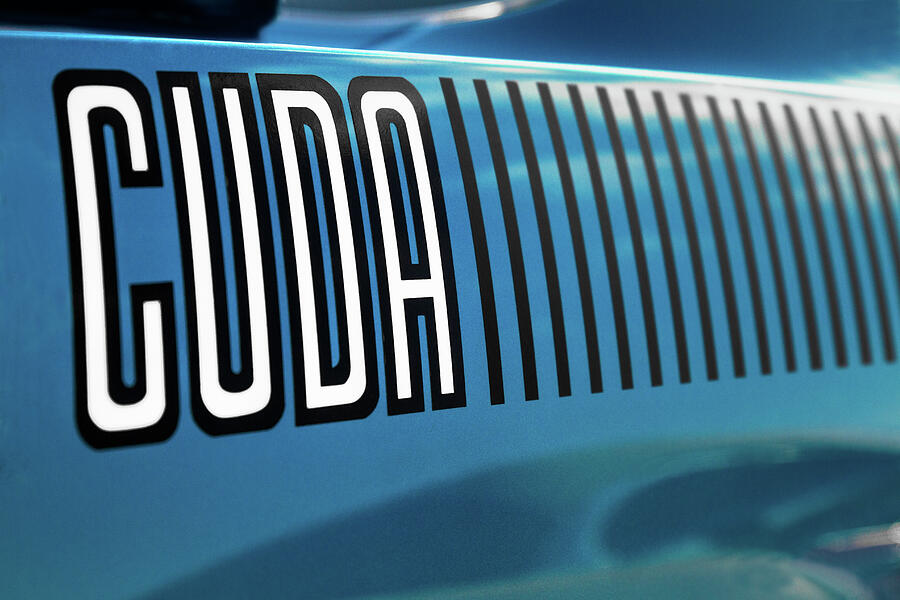 70 Cuda Stripes Photograph by Ron Pate 70 Cuda Stripes Photograph by Ron Pate
