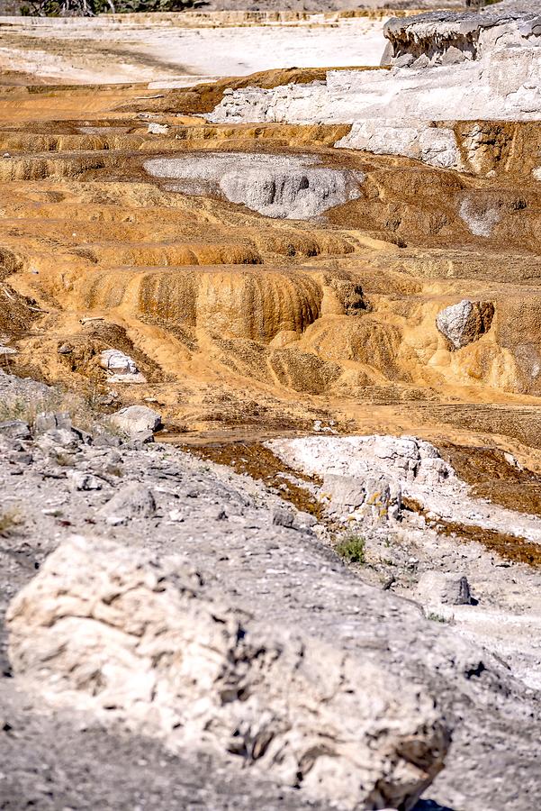 Travertine Terraces, Mammoth Hot Springs, Yellowstone #70 Photograph by Alex Grichenko