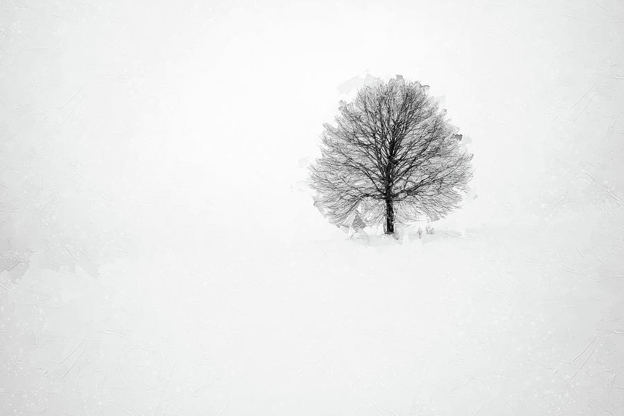 Winter Story #71 Digital Art by TintoDesigns