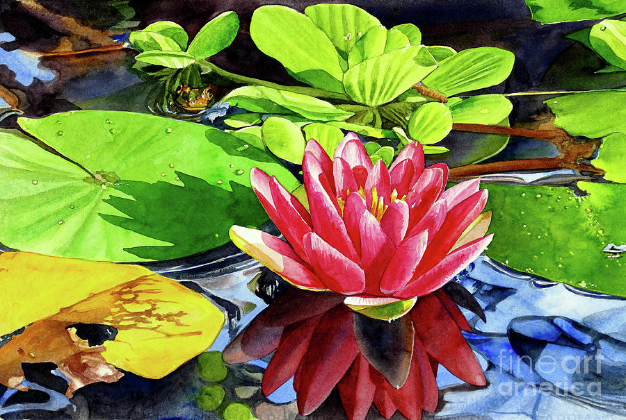 #716 Water Lily Bloom #716 Painting by William Lum