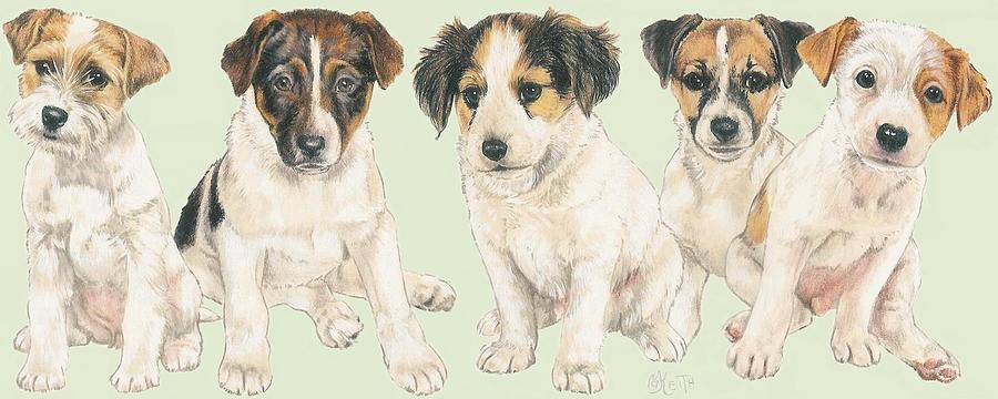 Jack Russell Terrier  Mixed Media by Barbara Keith