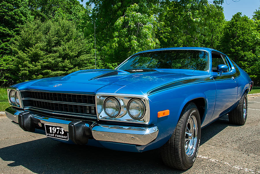 73 Roadrunner Photograph by Anthony Sacco