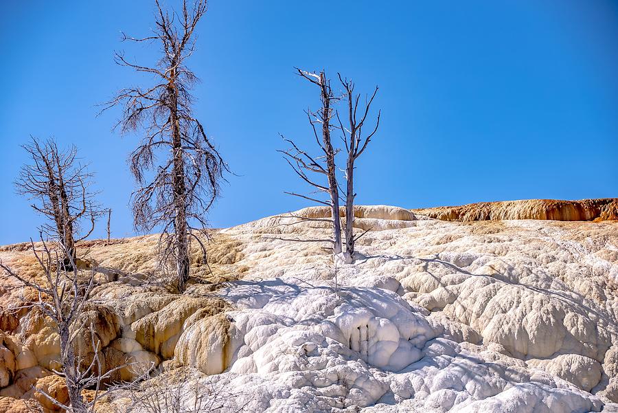 Travertine Terraces, Mammoth Hot Springs, Yellowstone #73 Photograph by Alex Grichenko