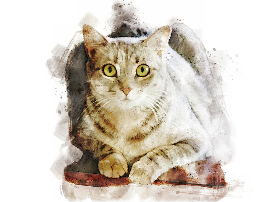 Tabby Cat Watercolor Digital Art by Jayne Carney