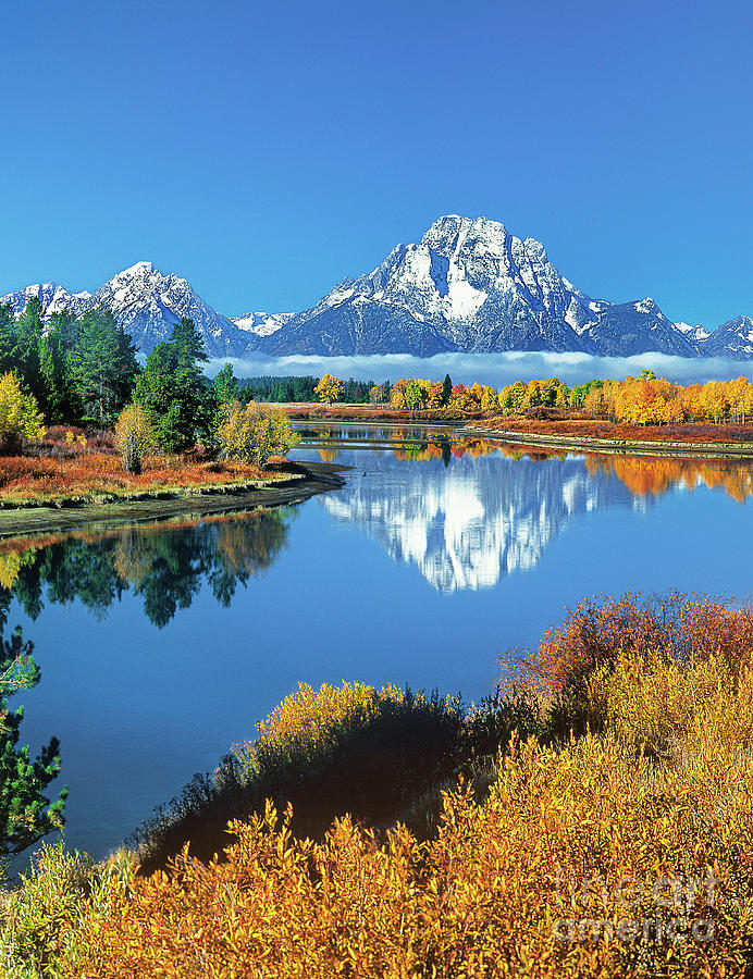 749450005v Fall Oxbow Bend Grand Tetons National Park Wyoming Photograph by Dave Welling