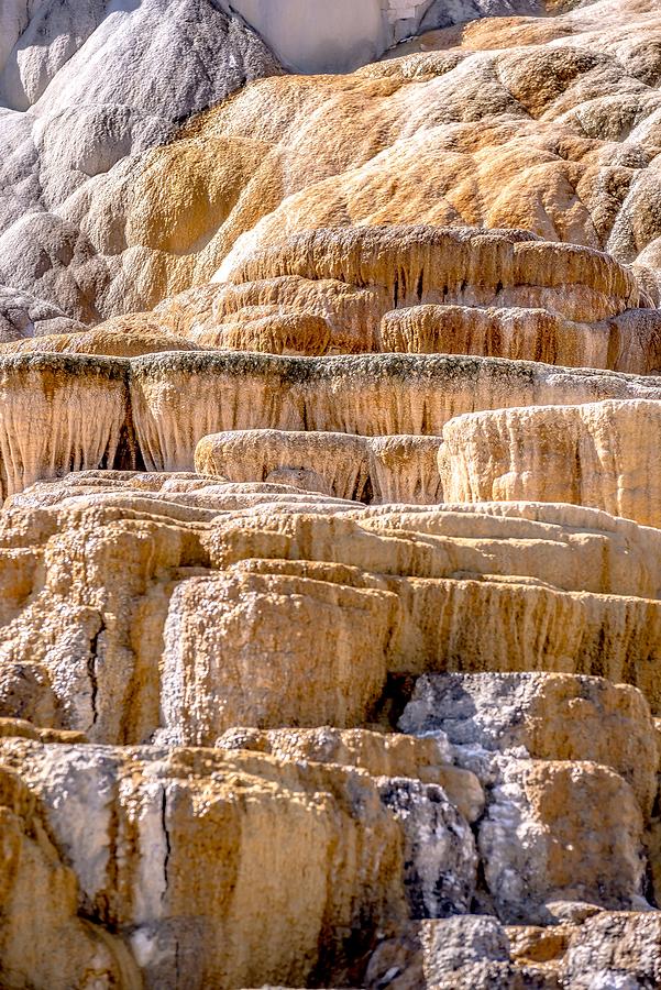 Travertine Terraces, Mammoth Hot Springs, Yellowstone #75 Photograph by Alex Grichenko