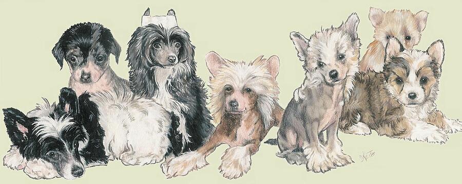 Chinese Crested and Powderpuff Puppies Mixed Media by Barbara Keith