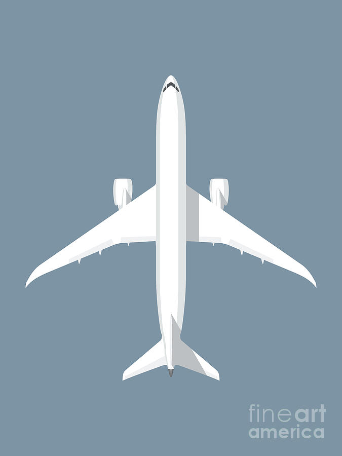Airplane Digital Art - 787 Passenger Jet Airliner Aircraft Slate by Organic Synthesis