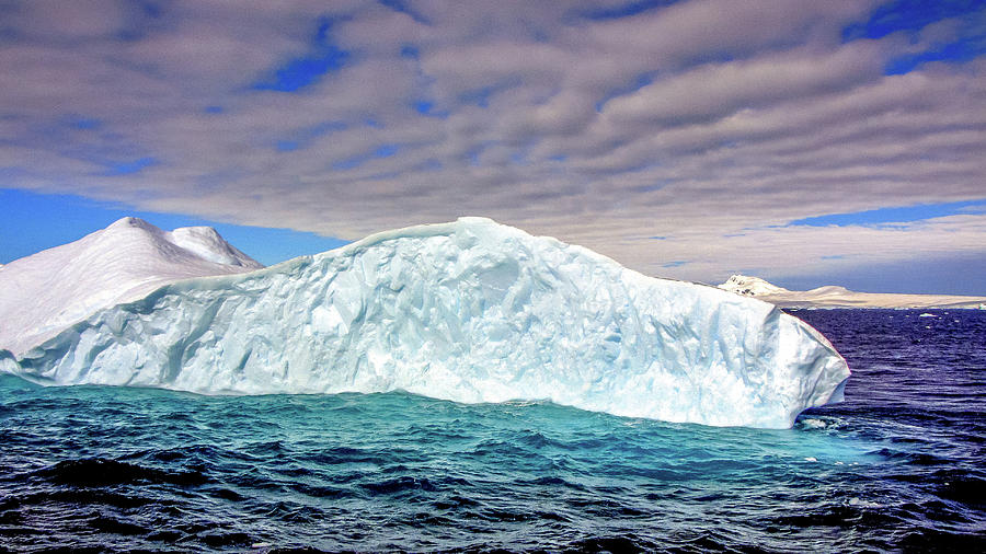 Antarctica #79 Photograph by Paul James Bannerman