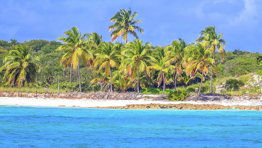 Princess Cays Bahamas Photograph by Paul James Bannerman - Fine Art America