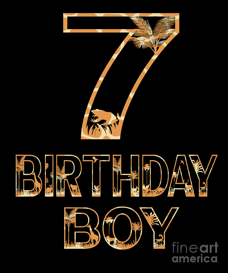 7 years old boy birthday theme