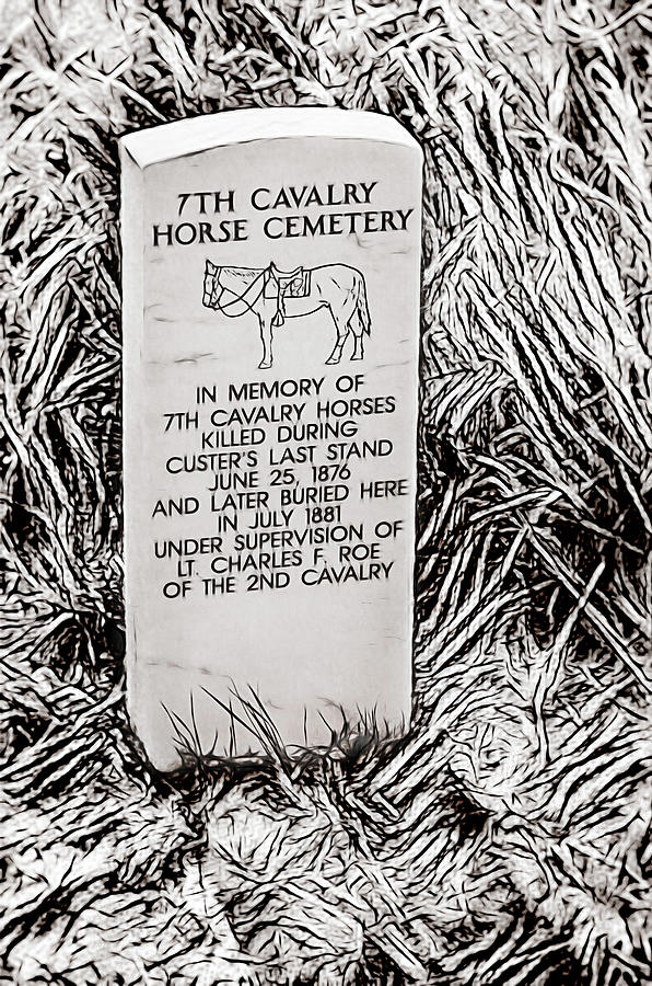 7th Cavalry Horse Cemetery Photograph by Debra Martz