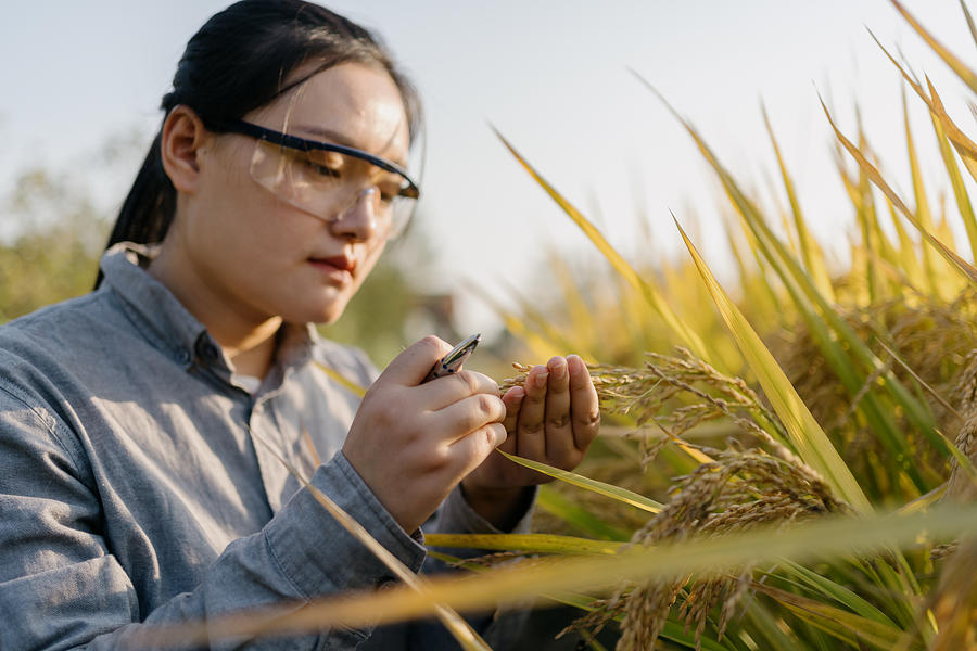 Agricultural Scientist working in farm #8 Photograph by Sinology