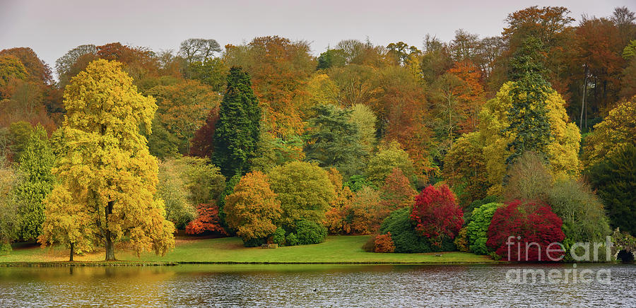 Autumn colours #8 Photograph by Colin Rayner