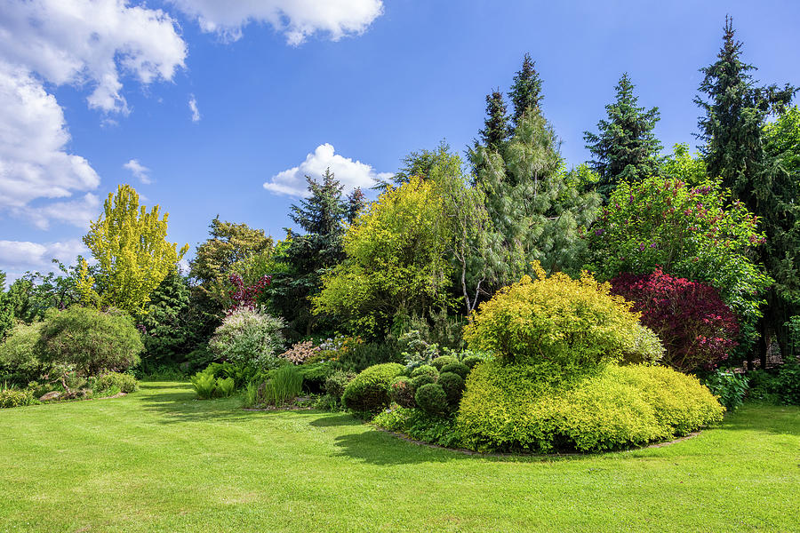 Beautiful summer garden concept #8 Photograph by Artush Foto - Fine Art ...