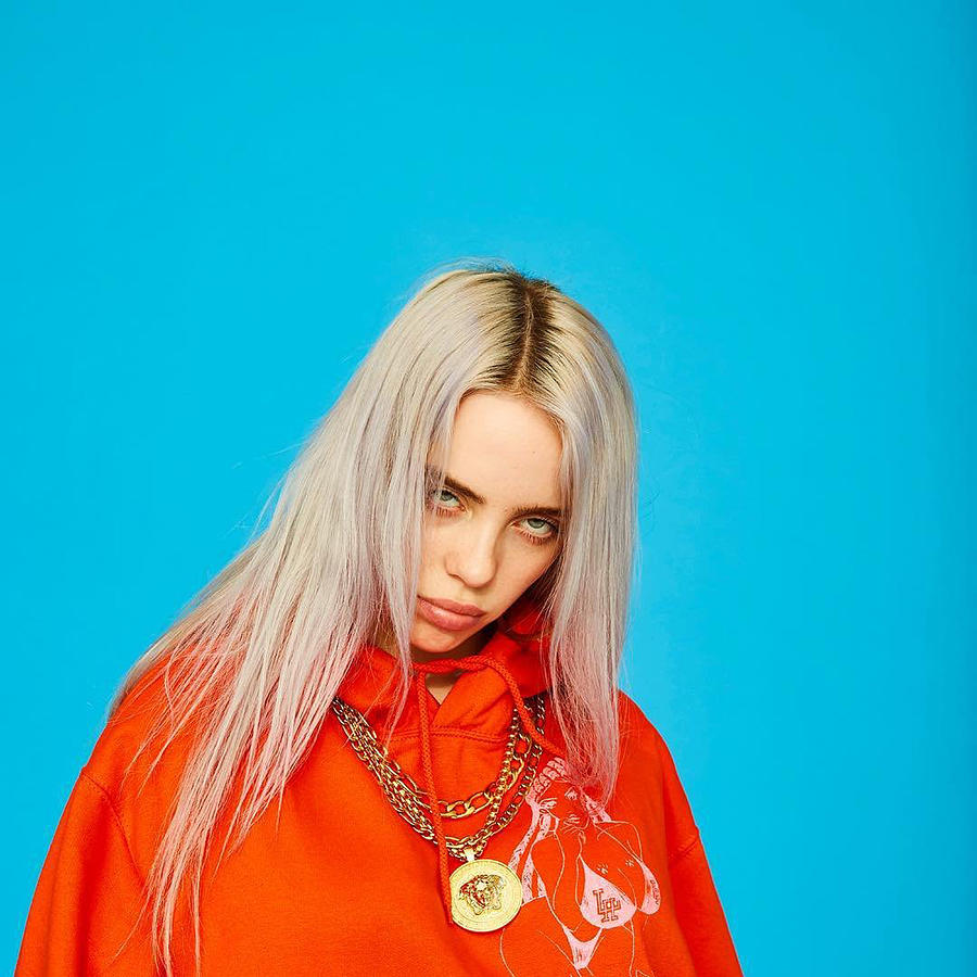 Billie Eilish Photograph by Brand Rivas | Fine Art America