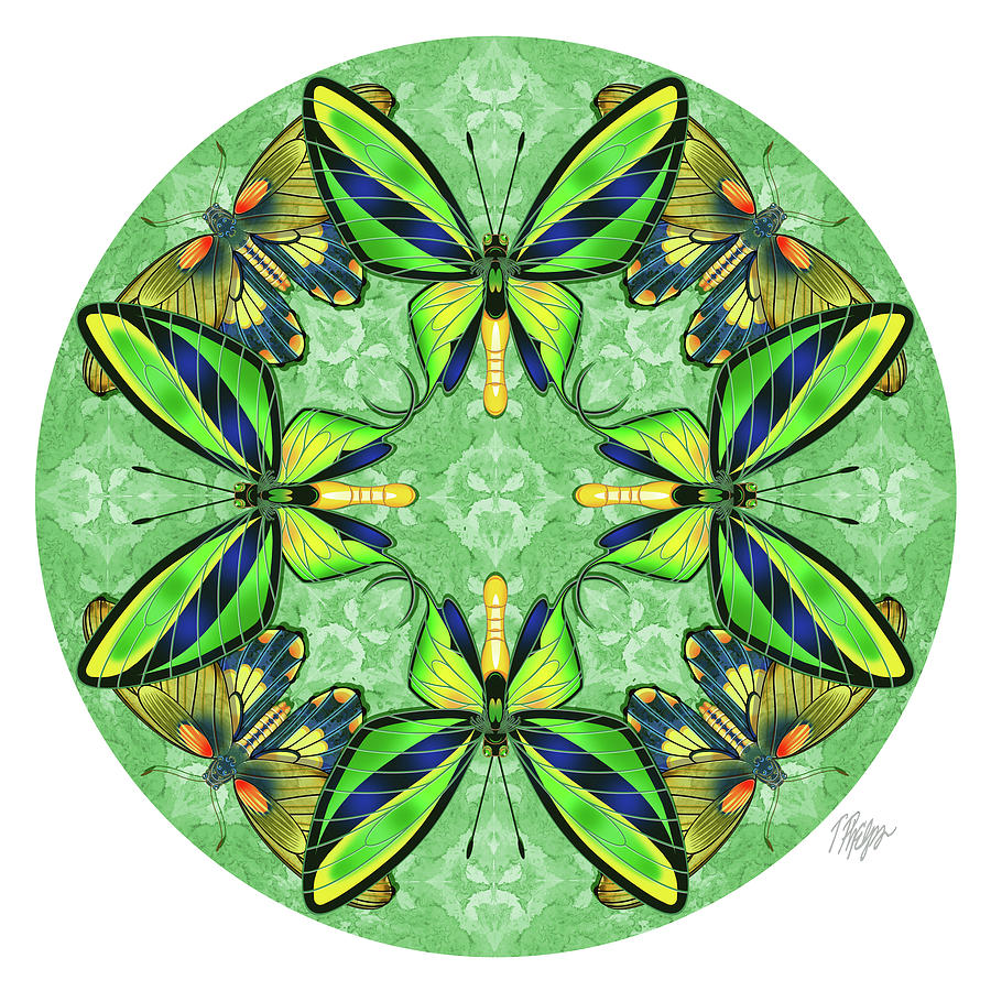 8 Birdwing Butterfly Mosaic Mandala Digital Art by Tim Phelps