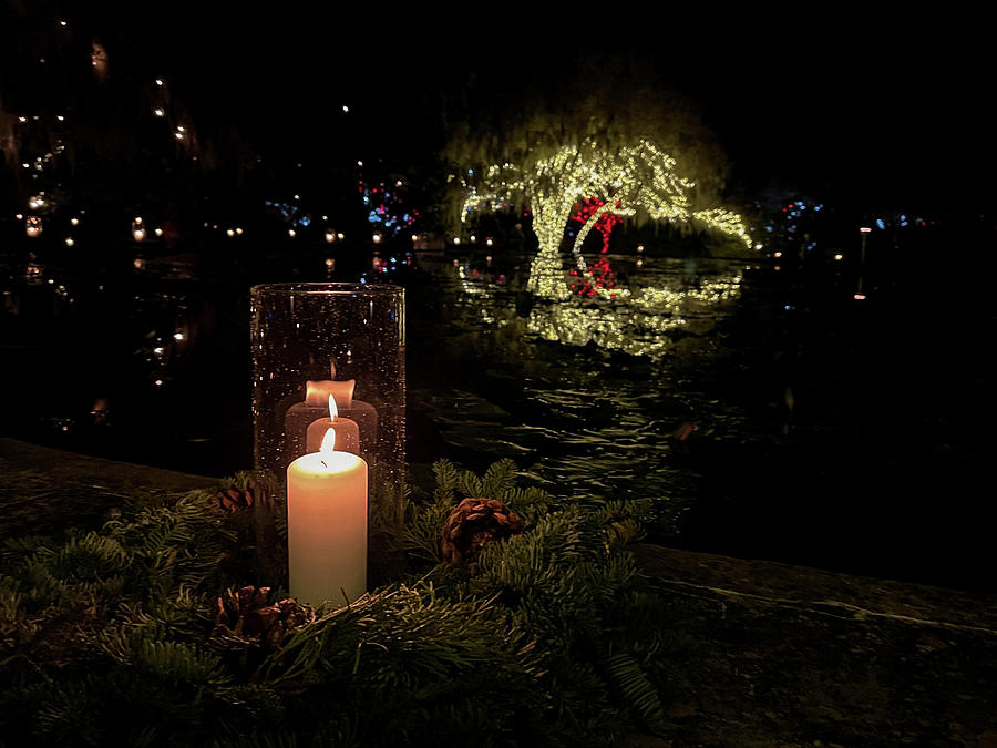 Brookgreen Gardens Festival of a Thousand Candles #9 Photograph by Dawna Moore Photography