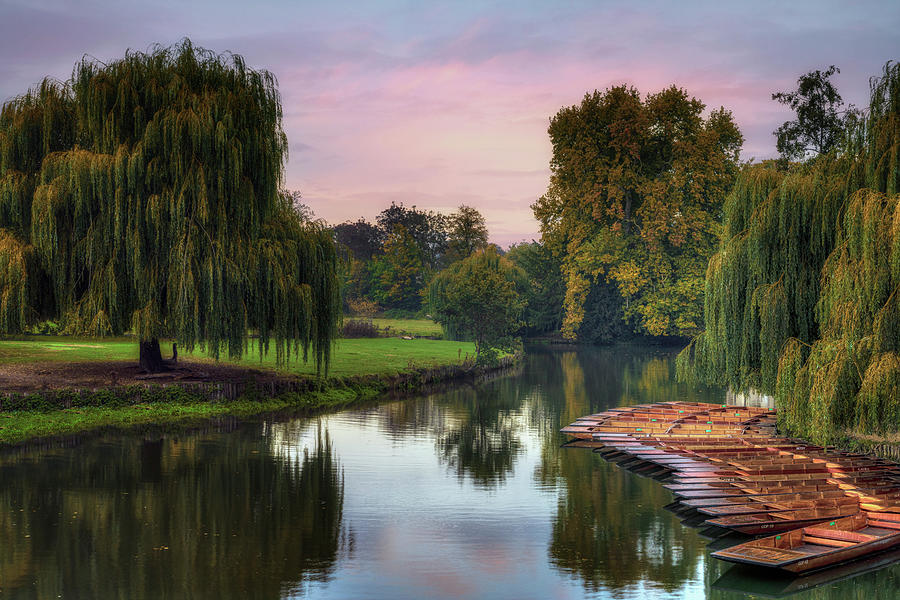 Cambridge - England #8 Photograph by Joana Kruse