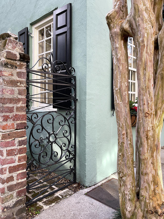Charleston Wrought Iron Garden Gate, South Carolina #8 Photograph by Dawna Moore Photography