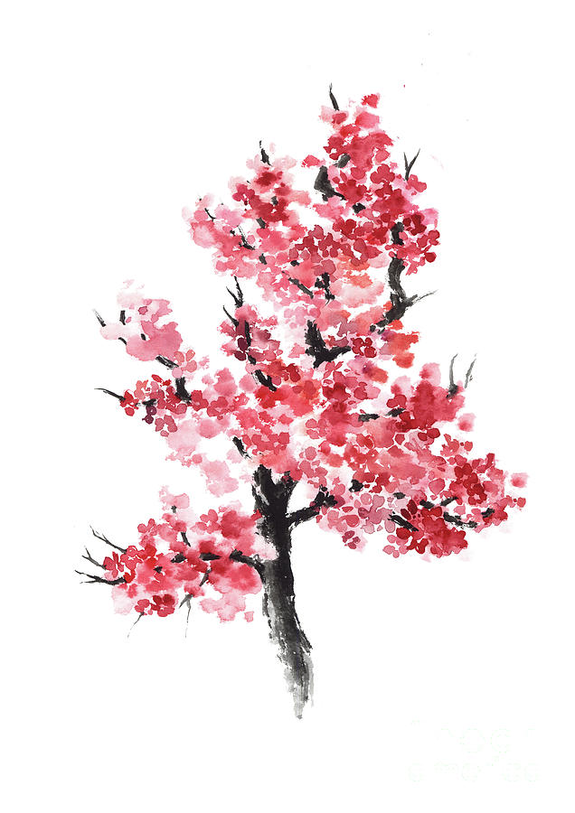 Cherry Blossom Painting Painting by Joanna Szmerdt - Fine Art America