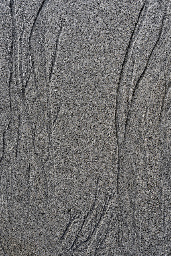 Coastal Patterns And Textures Photograph