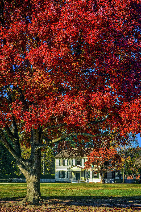 Colonial Williamsburg Virginia USA #8 Photograph by Paul James Bannerman