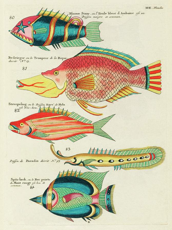 Colourful And Surreal Illustrations Of Fishes Found In Moluccas Digital Art