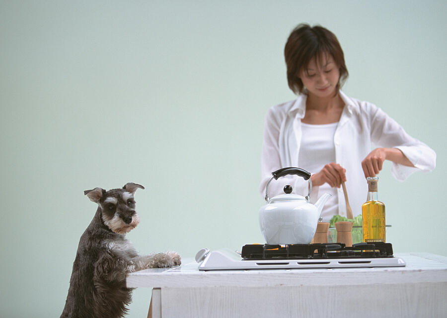 Cooking in kitchen with dog #8 Photograph by Imagenavi
