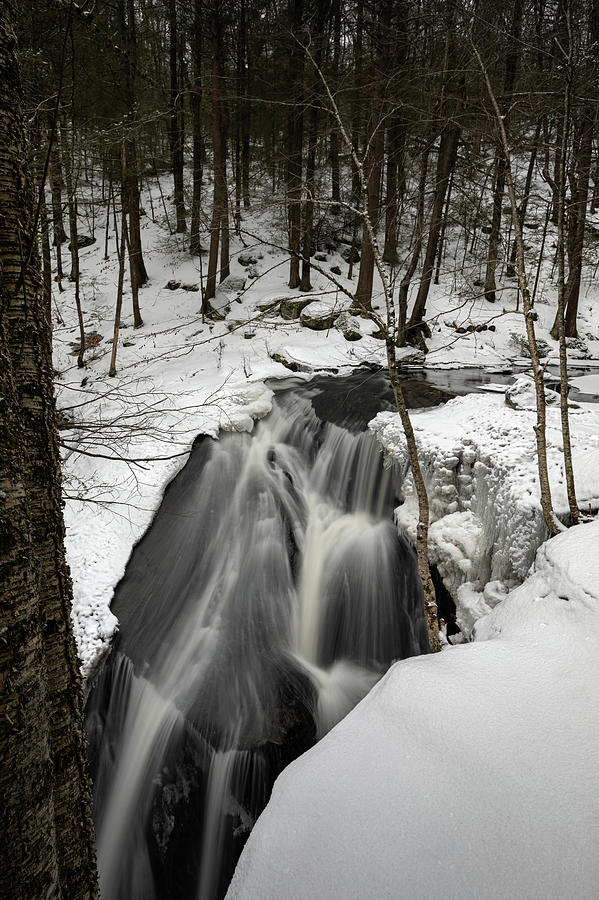 Ender's Winter Wonderland Photograph by Simmie Reagor - Fine Art America