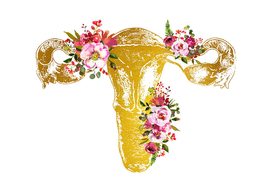 Female Reproductive System Digital Art by Erzebet S | Fine Art America