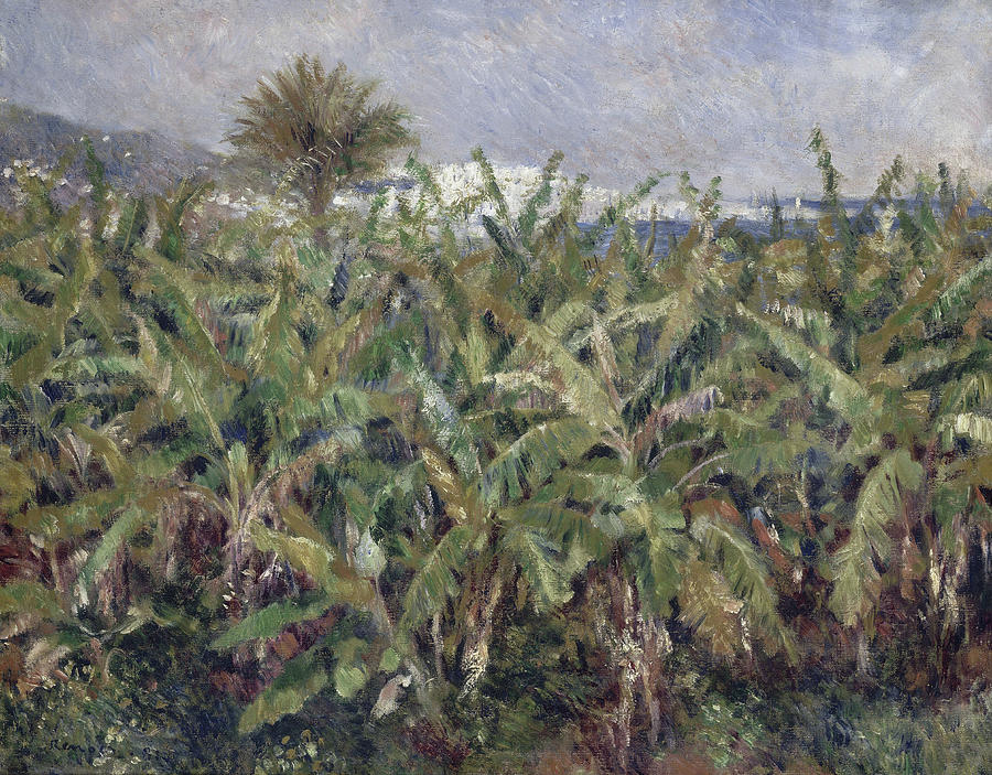 Field of Banana Trees #8 Painting by Pierre-Auguste Renoir