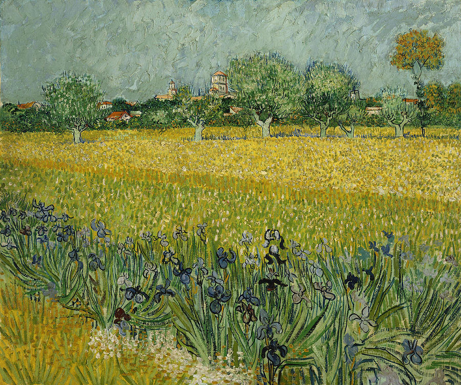 Vincent Van Gogh Painting - Field with Flowers near Arles  #8 by Vincent van Gogh