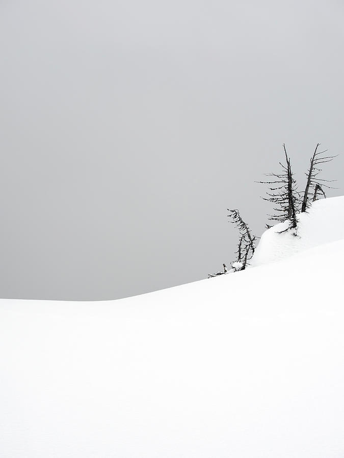 Foggy snowy afternoon at Crater Lake, Cascade Mountains, Oregon #8 Photograph by Will Sylwester